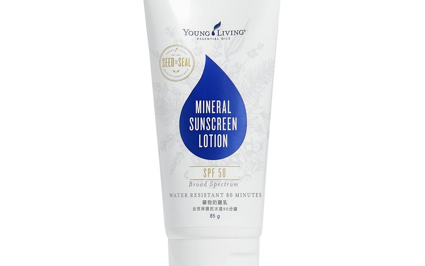 Sunscreen for office windows and winter daylight